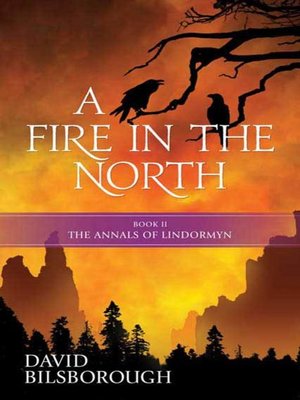 cover image of A Fire in the North